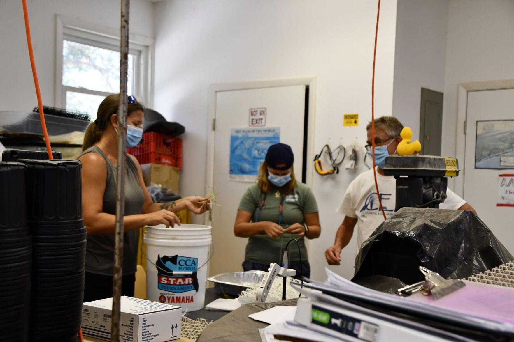 (this one!) UCF Biology Professor and her CEELAB team bring national attention to climate change along Florida's coastline